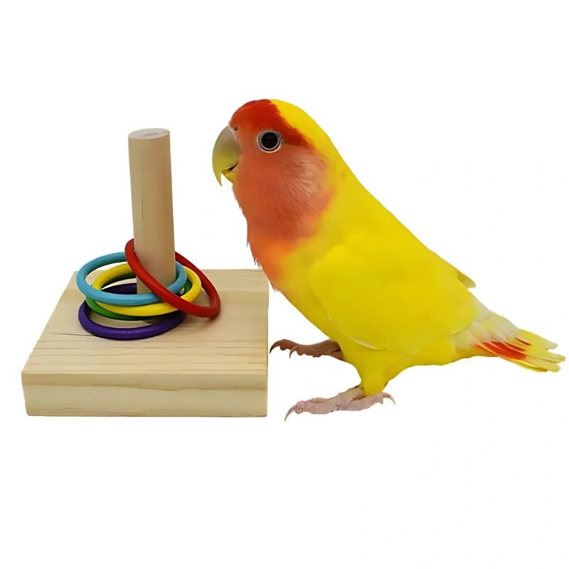 Bird Ring Toss Puzzle Toy – Interactive Educational Game for Small Parrots & Cockatiels - Bird Educational Toy - Petz Toyz
