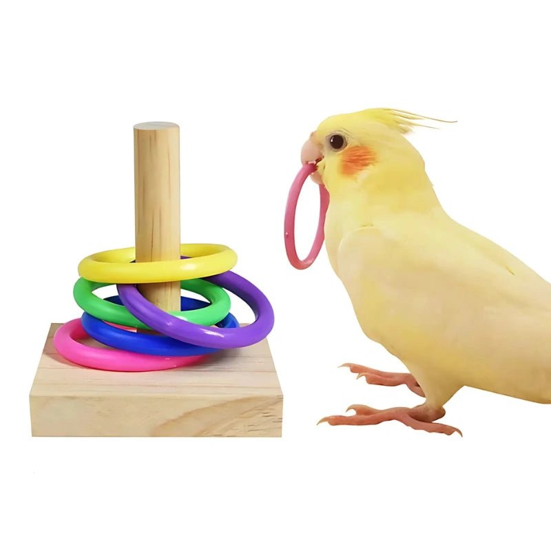 Bird Ring Toss Puzzle Toy – Interactive Educational Game for Small Parrots & Cockatiels - Bird Educational Toy - Petz Toyz
