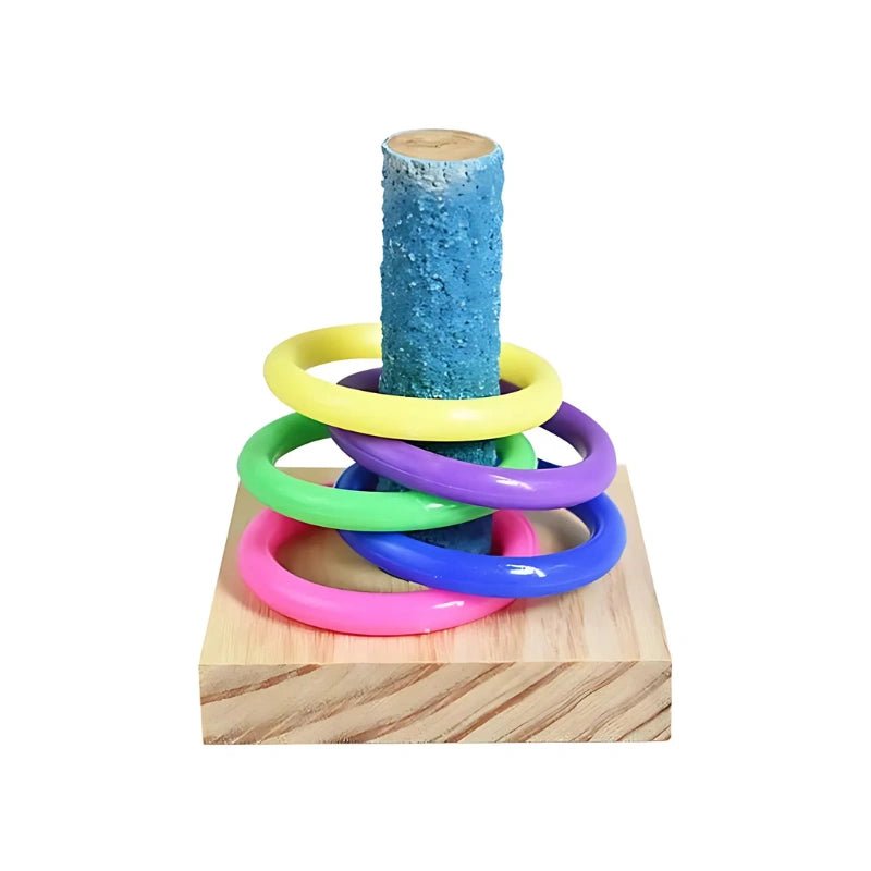 Bird Ring Toss Puzzle Toy – Interactive Educational Game for Small Parrots & Cockatiels - Bird Educational Toy - Petz Toyz