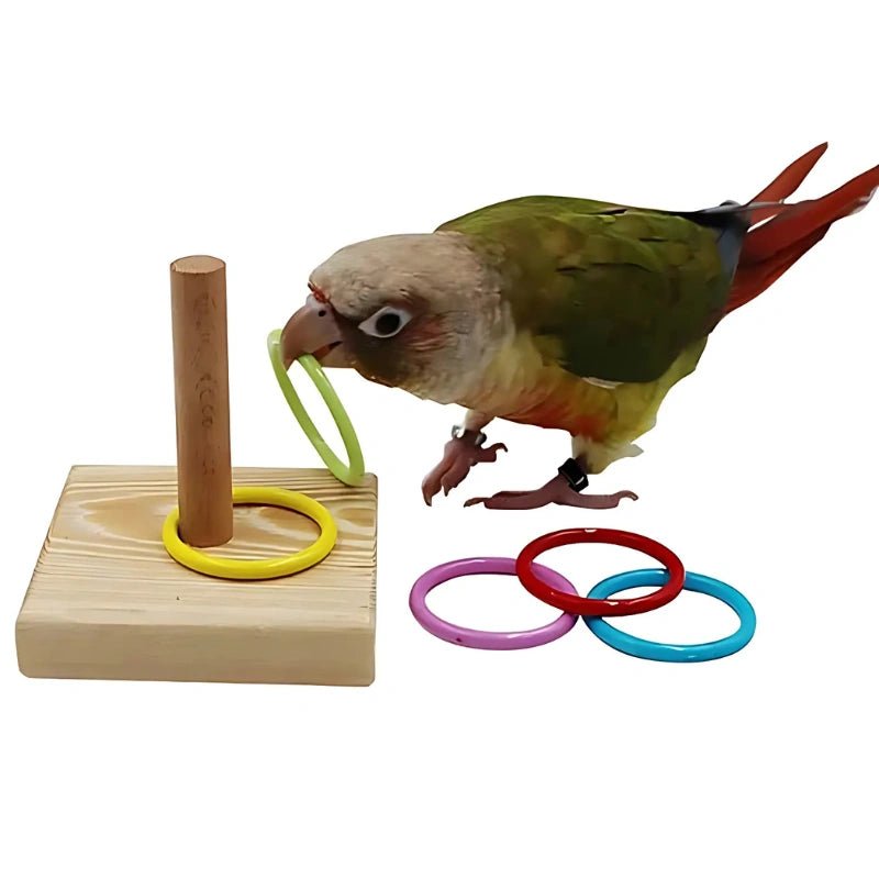 Bird Ring Toss Puzzle Toy – Interactive Educational Game for Small Parrots & Cockatiels - Bird Educational Toy - Petz Toyz