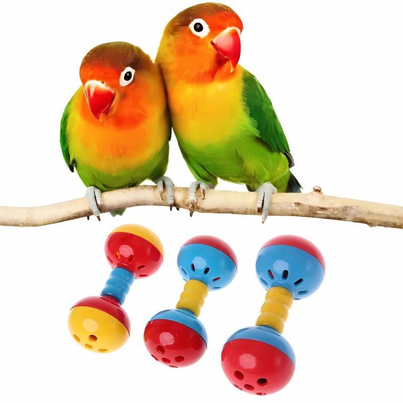 Colorful Bird Rattle Toy – Durable Dual Ball Design for Smart Birds - Interactive Bird Toy - Petz Toyz