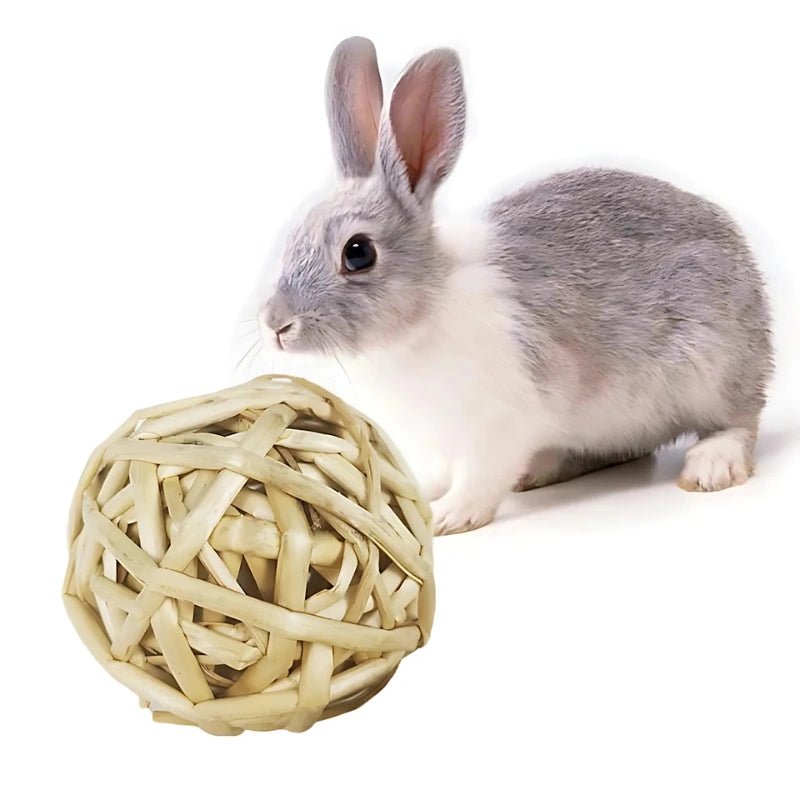Handmade Chew Toys for Rabbits & Small Pets | NaturaNibble Balls - Small Animal Chew Toy Set - Petz Toyz