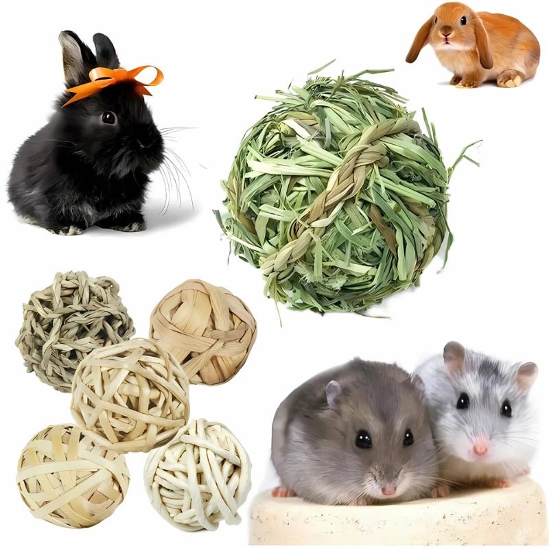 Handmade Chew Toys for Rabbits & Small Pets | NaturaNibble Balls - Small Animal Chew Toy Set - Petz Toyz