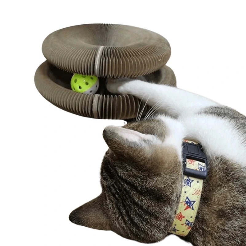 Magic Cat Scratcher - Compact Haven - Magic Cat Scratcher - Compact Haven - Petz Toyz