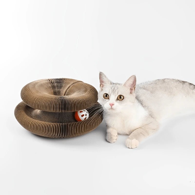 Magic Cat Scratcher - Compact Haven - Magic Cat Scratcher - Compact Haven - Petz Toyz