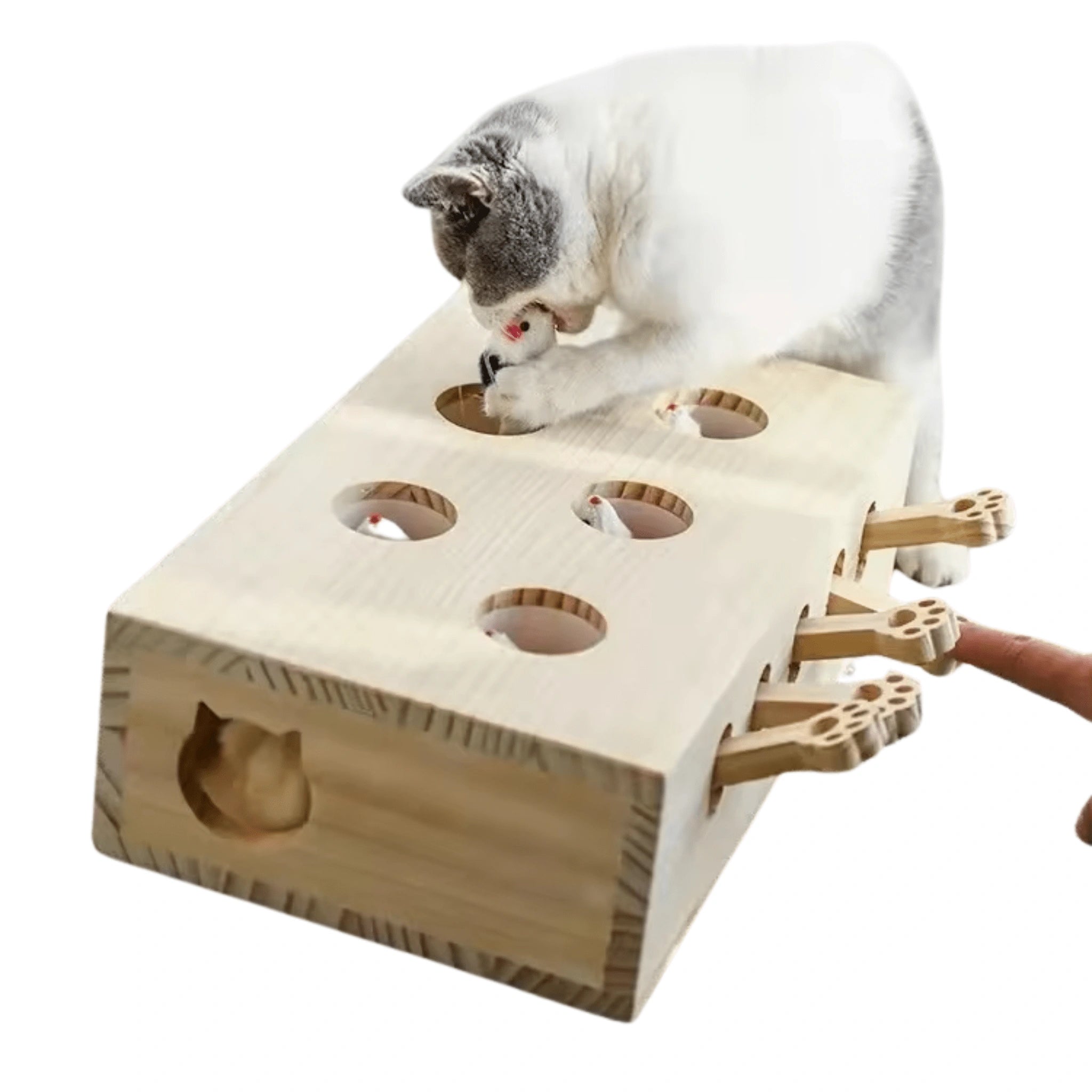 Maze Cat Deluxe – Interactive Wooden Toy for Endless Feline Fun - Maze Cat Deluxe – Interactive Wooden Toy for Endless Feline Fun - Petz Toyz