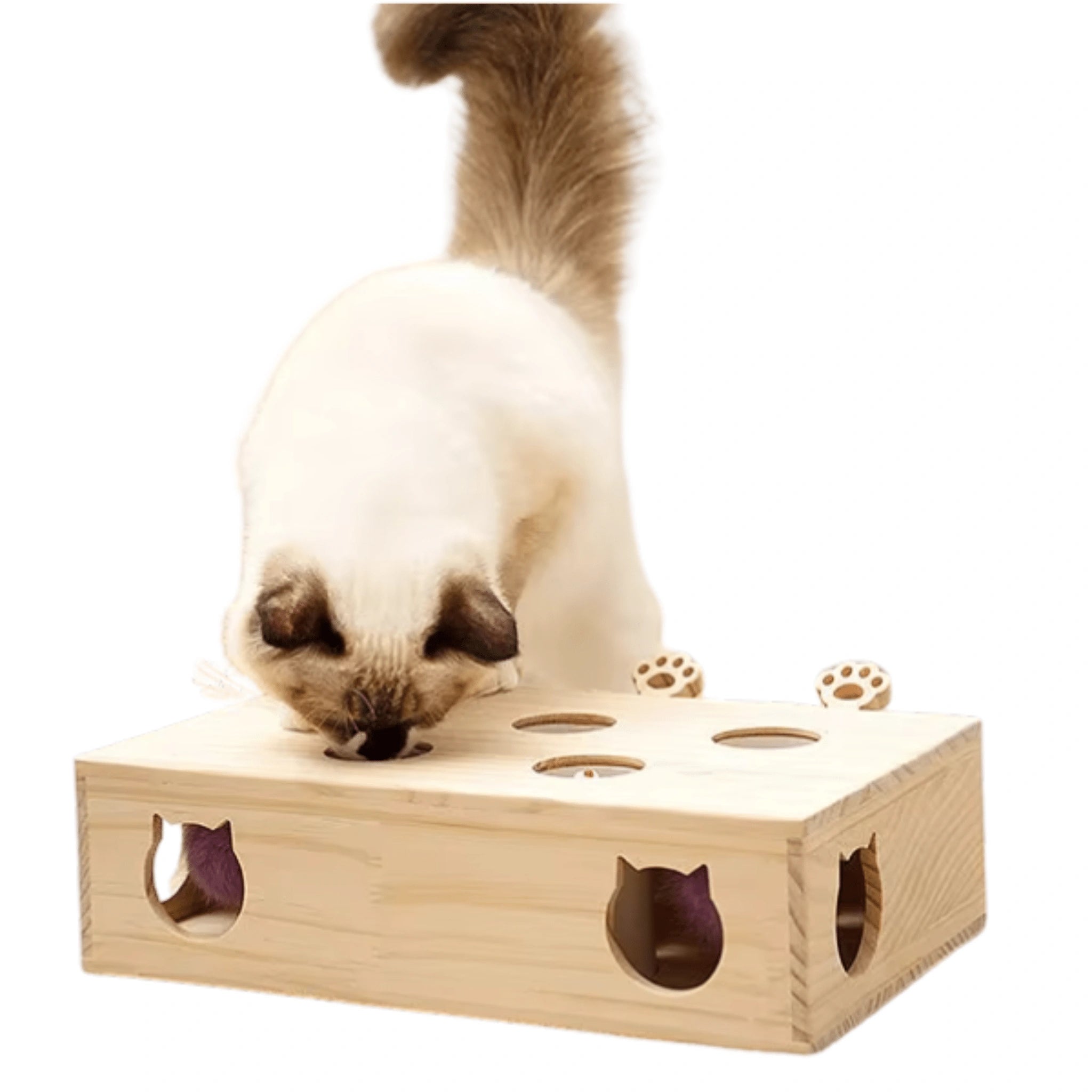 Maze Cat Deluxe – Interactive Wooden Toy for Endless Feline Fun - Maze Cat Deluxe – Interactive Wooden Toy for Endless Feline Fun - Petz Toyz
