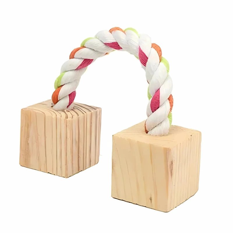 Natural Wooden Chew Toys for Guinea Pigs, Rabbits & Hamsters – Fun & Molar Relief - Small Pet Chew Toys - Petz Toyz