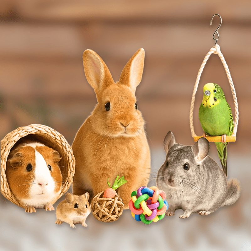 Small Pets & Birds - Petz Toyz