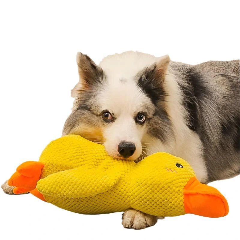 Calming Duck – Fun & Engaging Toy for Your Dog - Calming Duck - Perfect for Anxious Puppies - Petz Toyz